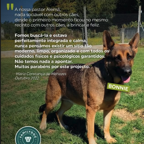 Feedback de Cliente 1