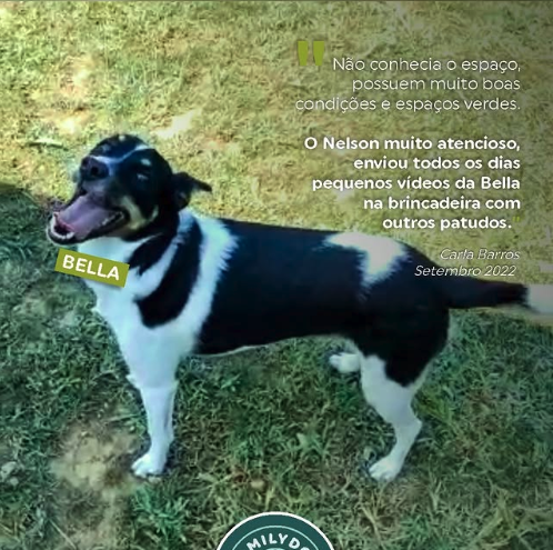 Feedback de Cliente 3