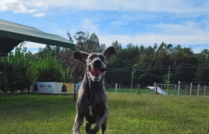 Área de recreação